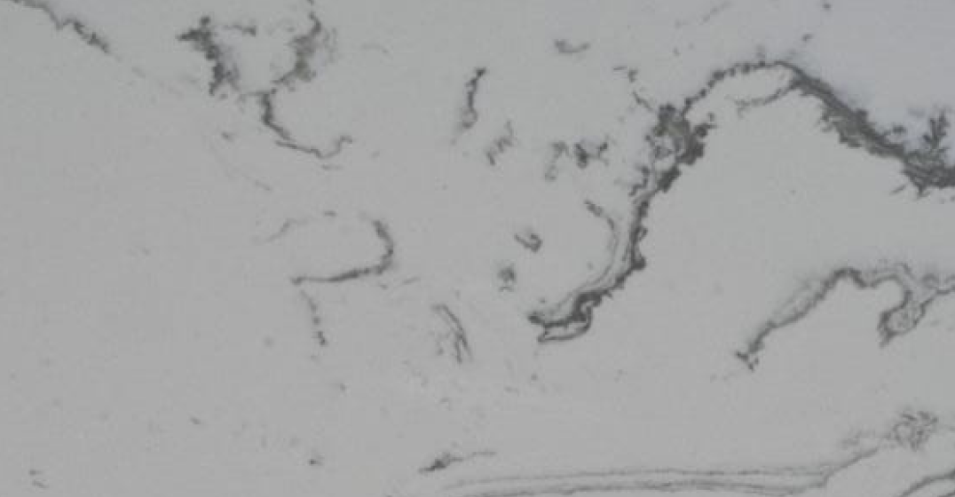 Carrara White Marble